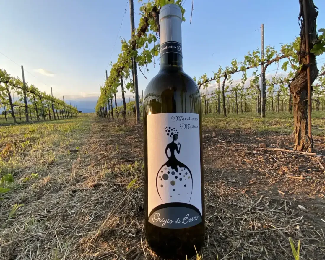 Grigio di Bosco - Marchetto Matteo