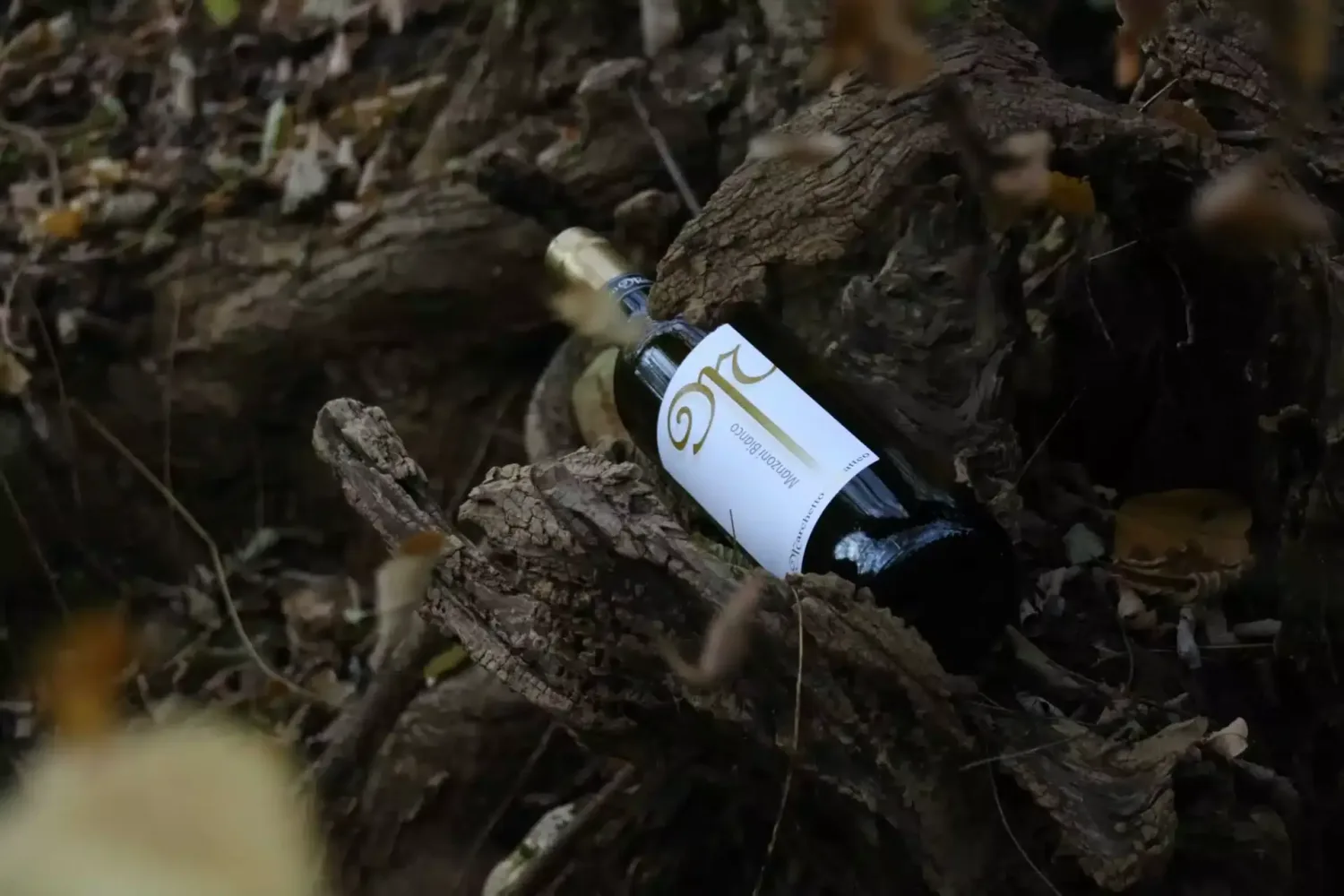 Azienda Agricola Marchetto Matteo - Roncadelle di Ormelle