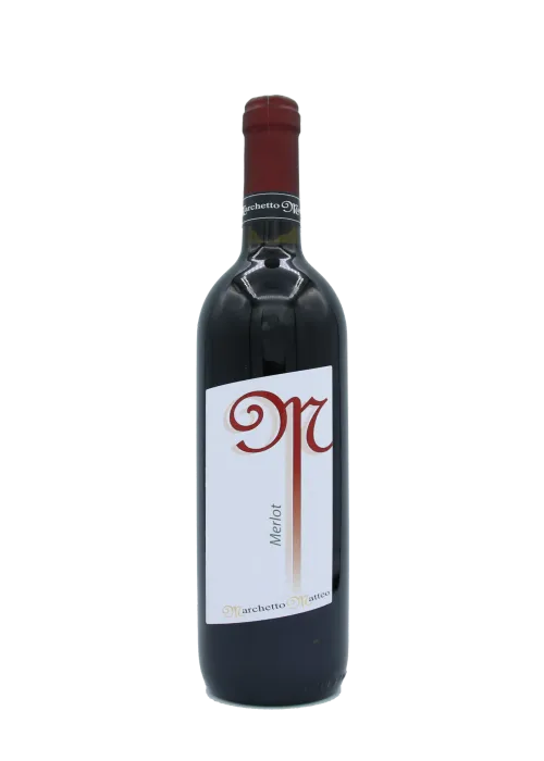 Merlot - Marchetto Matteo
