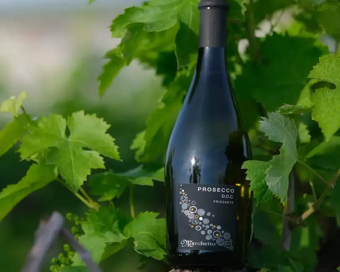 Filari di Prosecco